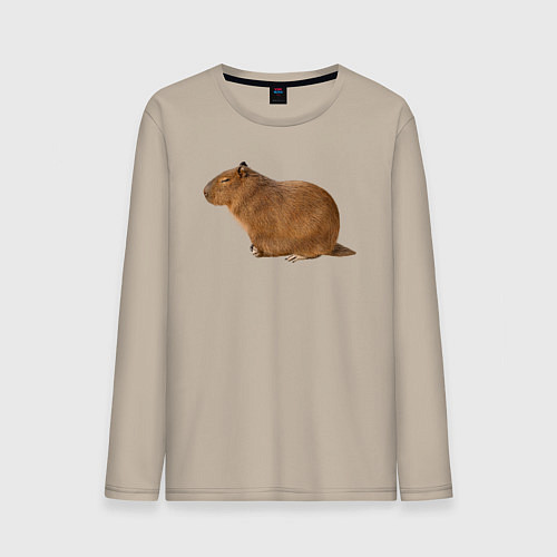 Мужской лонгслив Капибара сидит и спит / Миндальный – фото 1