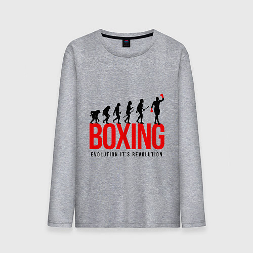 Мужской лонгслив Boxing evolution / Меланж – фото 1