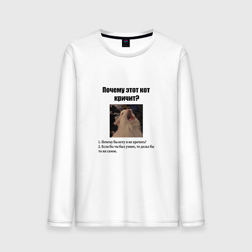 Мужской лонгслив Почему этот кот кричит? / Белый – фото 1
