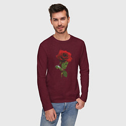Лонгслив хлопковый мужской Красивая красная роза, цвет: меланж-бордовый — фото 2