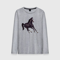 Лонгслив хлопковый мужской Марварская лошадь, цвет: меланж