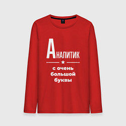 Мужской лонгслив Аналитик с очень большой буквы