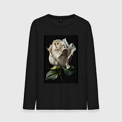 Лонгслив хлопковый мужской Белая роза, цвет: черный