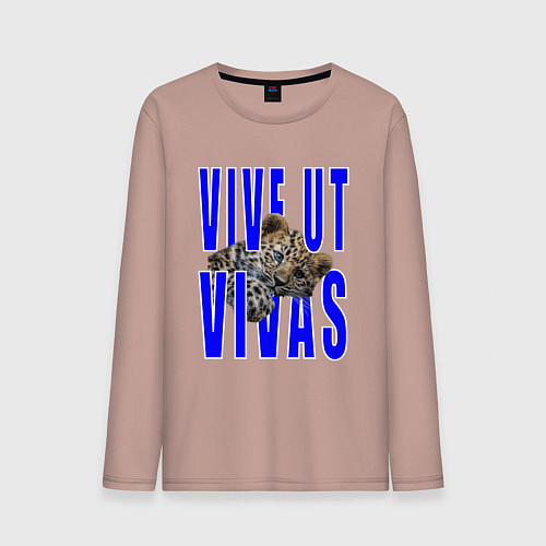 Мужской лонгслив Vive ut vivas / Пыльно-розовый – фото 1