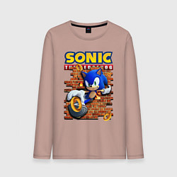 Лонгслив хлопковый мужской Соник ёж, цвет: пыльно-розовый
