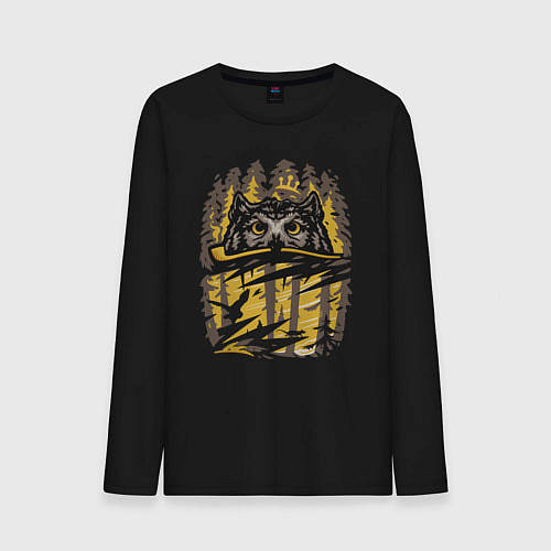 Мужской лонгслив Дымная совушка / Черный – фото 1