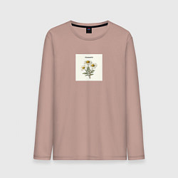 Лонгслив хлопковый мужской Ромашки chamomile, цвет: пыльно-розовый
