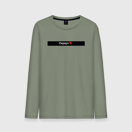 Мужской лонгслив Сириус города России / Авокадо – фото 1