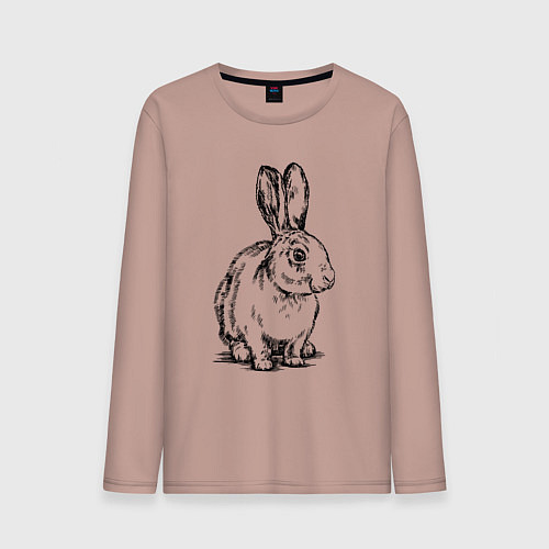 Мужской лонгслив Кролик полубоком / Пыльно-розовый – фото 1