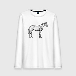Лонгслив хлопковый мужской Лошадь стоит в профиль, цвет: белый