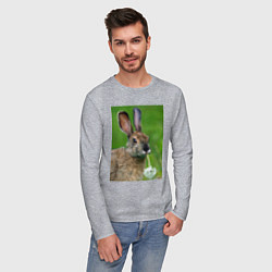 Лонгслив хлопковый мужской Зайчик с одуванчиком, цвет: меланж — фото 2