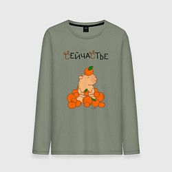 Мужской лонгслив Капибара в мандаринах