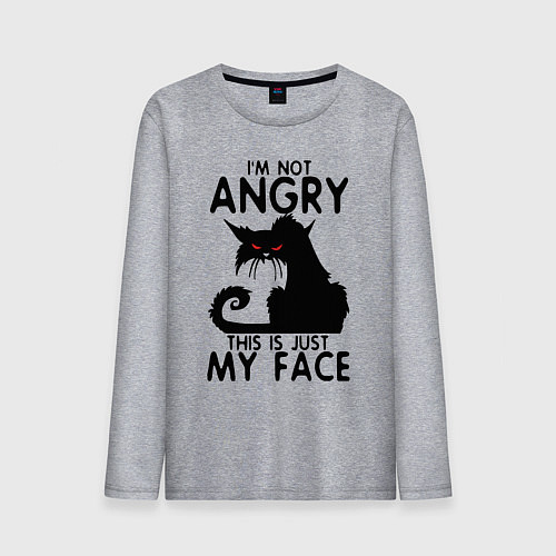 Мужской лонгслив I am not angry cat / Меланж – фото 1