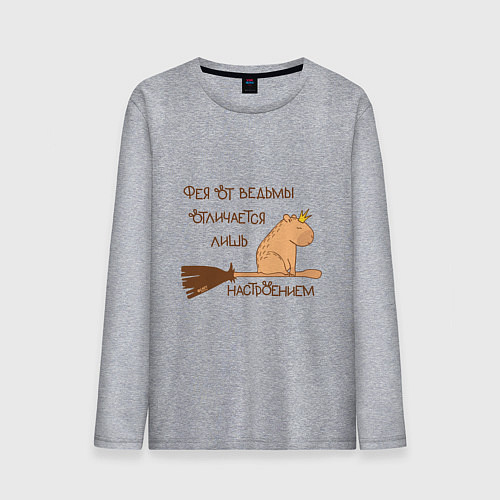 Мужской лонгслив Мем капибара на метле: фея и ведьма / Меланж – фото 1