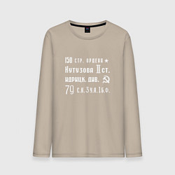 Мужской лонгслив Знамя Победы СССР