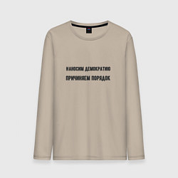 Мужской лонгслив Наносим демократию