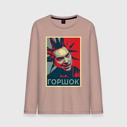 Мужской лонгслив Горшок панк