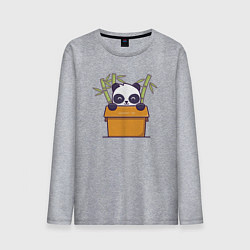 Мужской лонгслив Панда в коробке