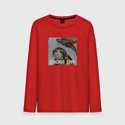 Мужской лонгслив Котик под душем спасибо дура