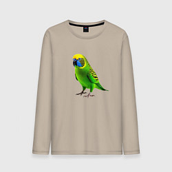 Лонгслив хлопковый мужской Зеленый попугай, цвет: миндальный