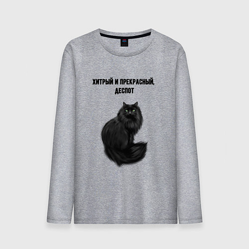 Мужской лонгслив Хитрый и прекрасный деспот / Меланж – фото 1