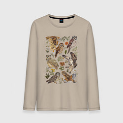 Мужской лонгслив Разные совы и цветы