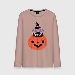 Мужской лонгслив Ведьма в тыкве
