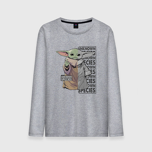 Мужской лонгслив Unknown specis - Baby Yoda / Меланж – фото 1