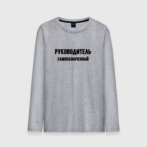 Мужской лонгслив Руководитель самоназначенный / Меланж – фото 1