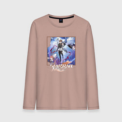 Мужской лонгслив Вельт