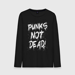 Мужской лонгслив Punk not dead