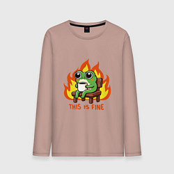 Мужской лонгслив Frog - this is fine