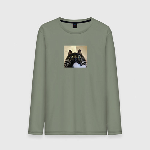 Мужской лонгслив Видеозвонок с котом парный мем / Авокадо – фото 1