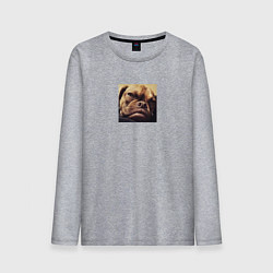 Мужской лонгслив Сердитый Песик
