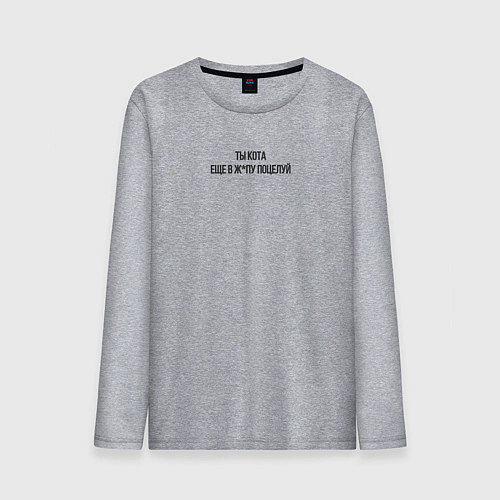 Мужской лонгслив С надписью ты кота еще в ж поцелуй / Меланж – фото 1