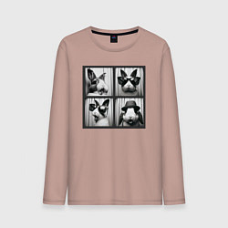 Лонгслив хлопковый мужской Кролик в фотобудке, цвет: пыльно-розовый