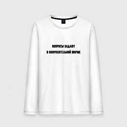 Мужской лонгслив Вопросительная форма