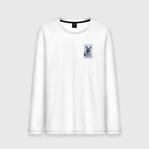 Мужской лонгслив Черемша / Белый – фото 1