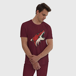 Пижама хлопковая мужская Phoenix Coyotes, цвет: меланж-бордовый — фото 2
