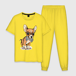 Мужская пижама Чихуахуа с бабочкой