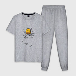 Пижама хлопковая мужская Спящий Гомер, цвет: меланж