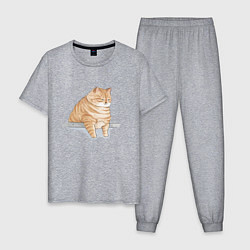 Пижама хлопковая мужская Толстый Кот, цвет: меланж