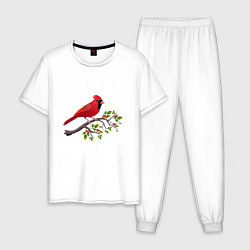 Пижама хлопковая мужская Красный кардинал, цвет: белый