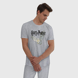 Пижама хлопковая мужская Гарри Поттер: Букля, цвет: меланж — фото 2