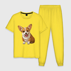 Мужская пижама Корги