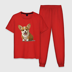 Пижама хлопковая мужская КОРГИ, цвет: красный