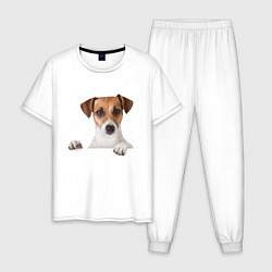 Пижама хлопковая мужская Собака, цвет: белый