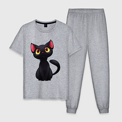 Пижама хлопковая мужская Черный котенок, цвет: меланж