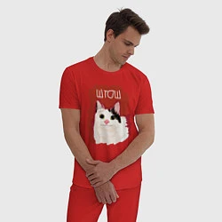 Пижама хлопковая мужская Котик ШТОШ, цвет: красный — фото 2