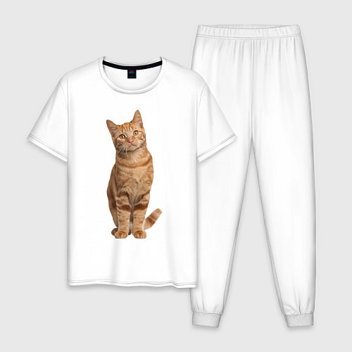 Мужская пижама Рыжий кот / Белый – фото 1